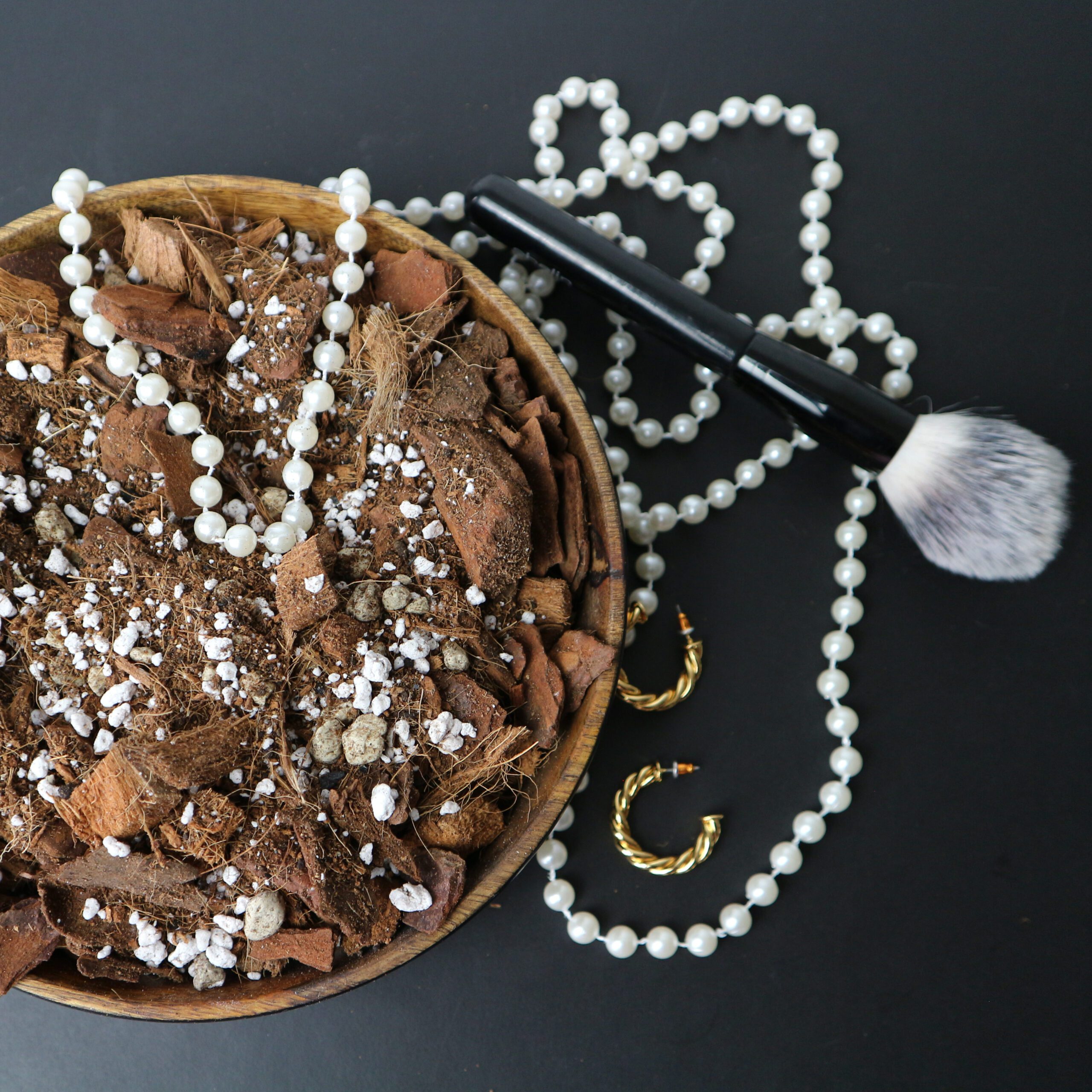 Calathea-Mix 5L – Bild 2