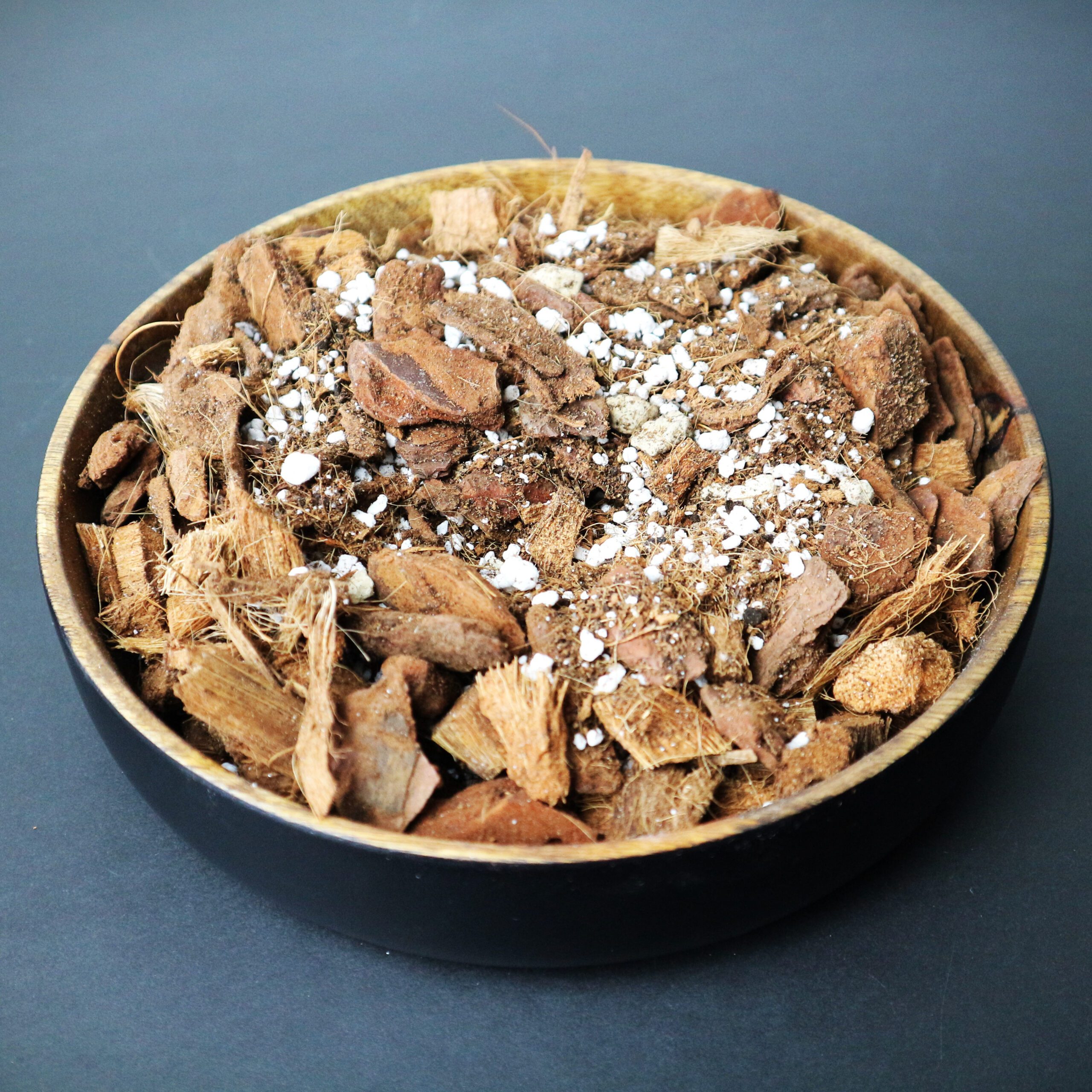 Calathea-Mix 5L – Bild 4