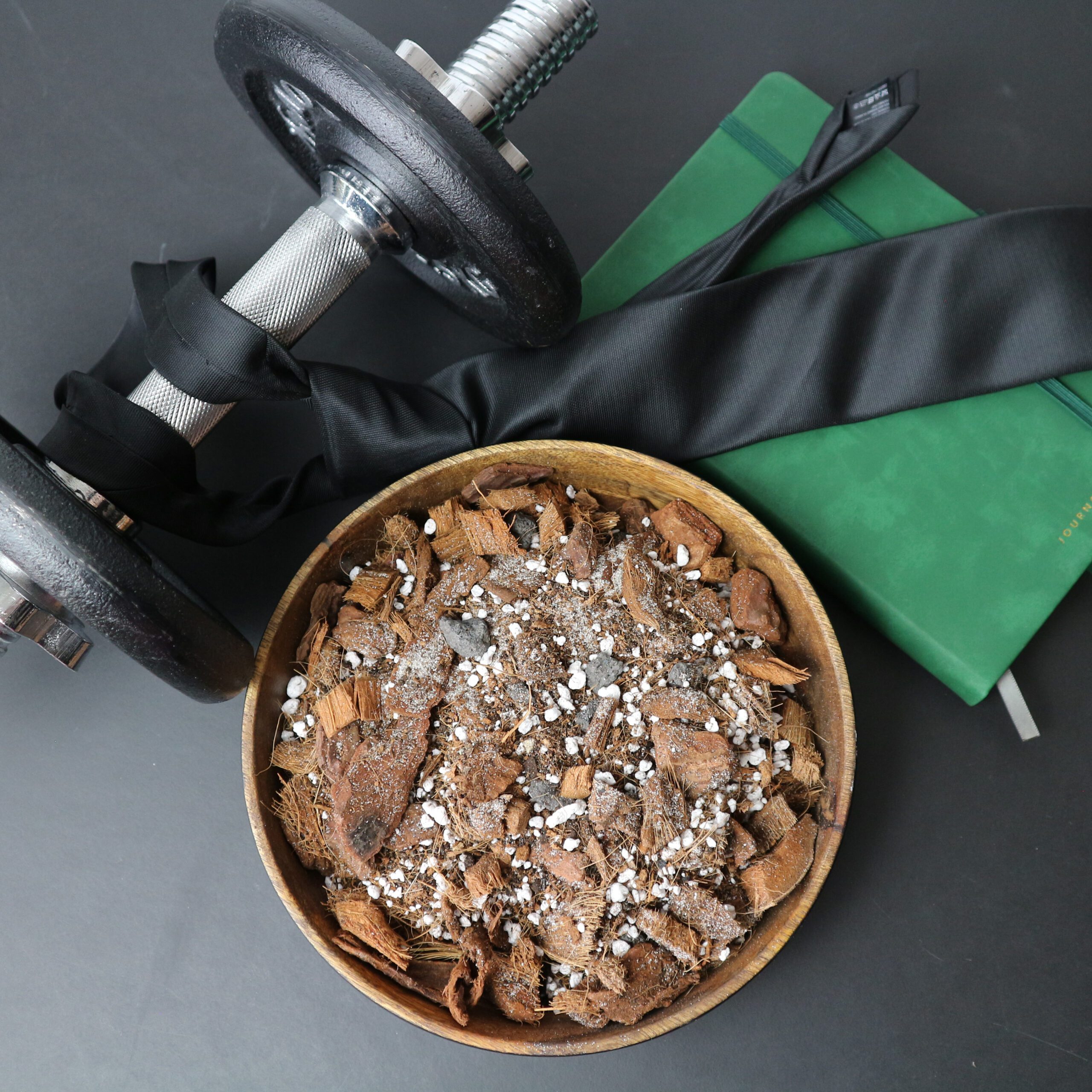 Ficus-Mix 5L – Bild 2