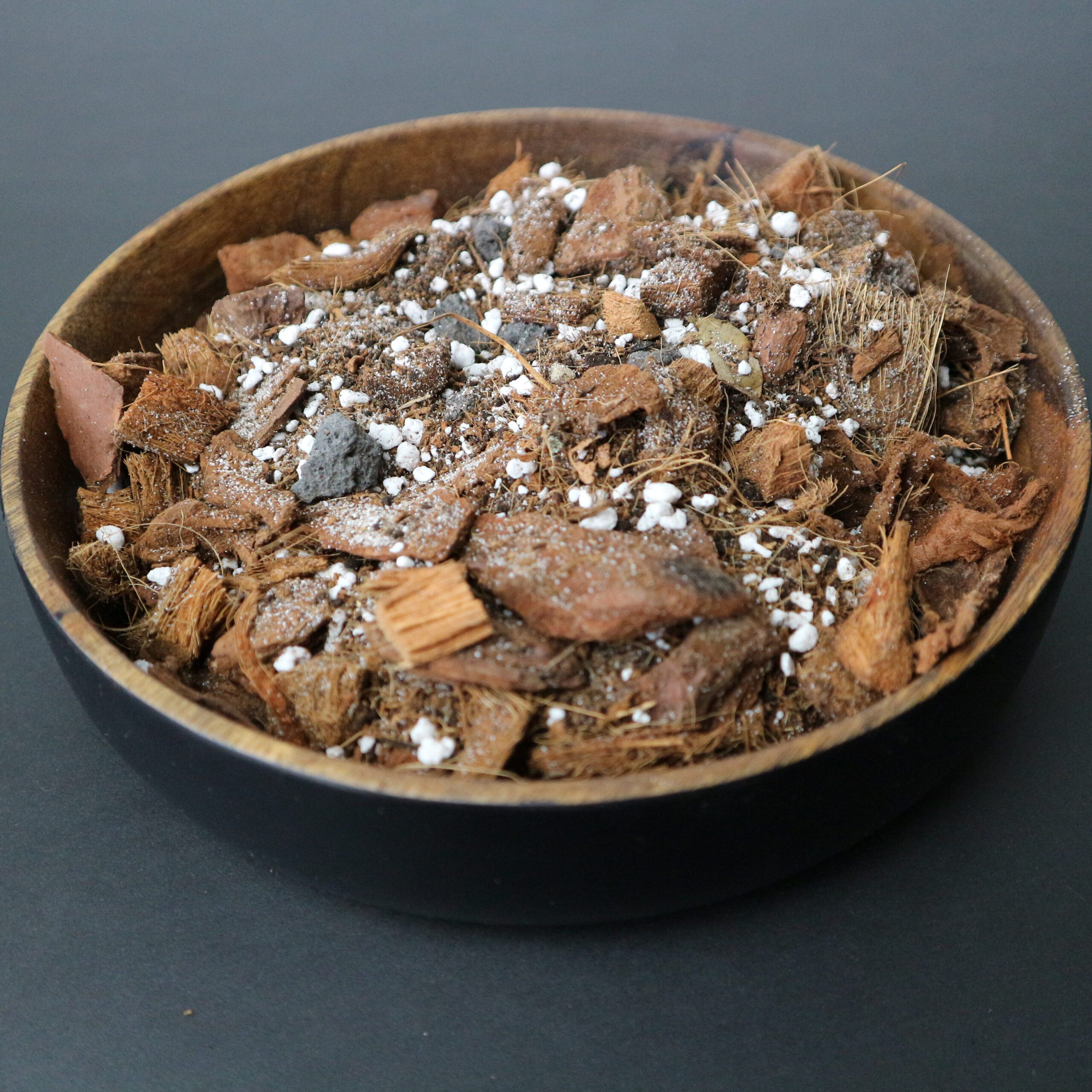 Ficus-Mix 5L – Bild 4