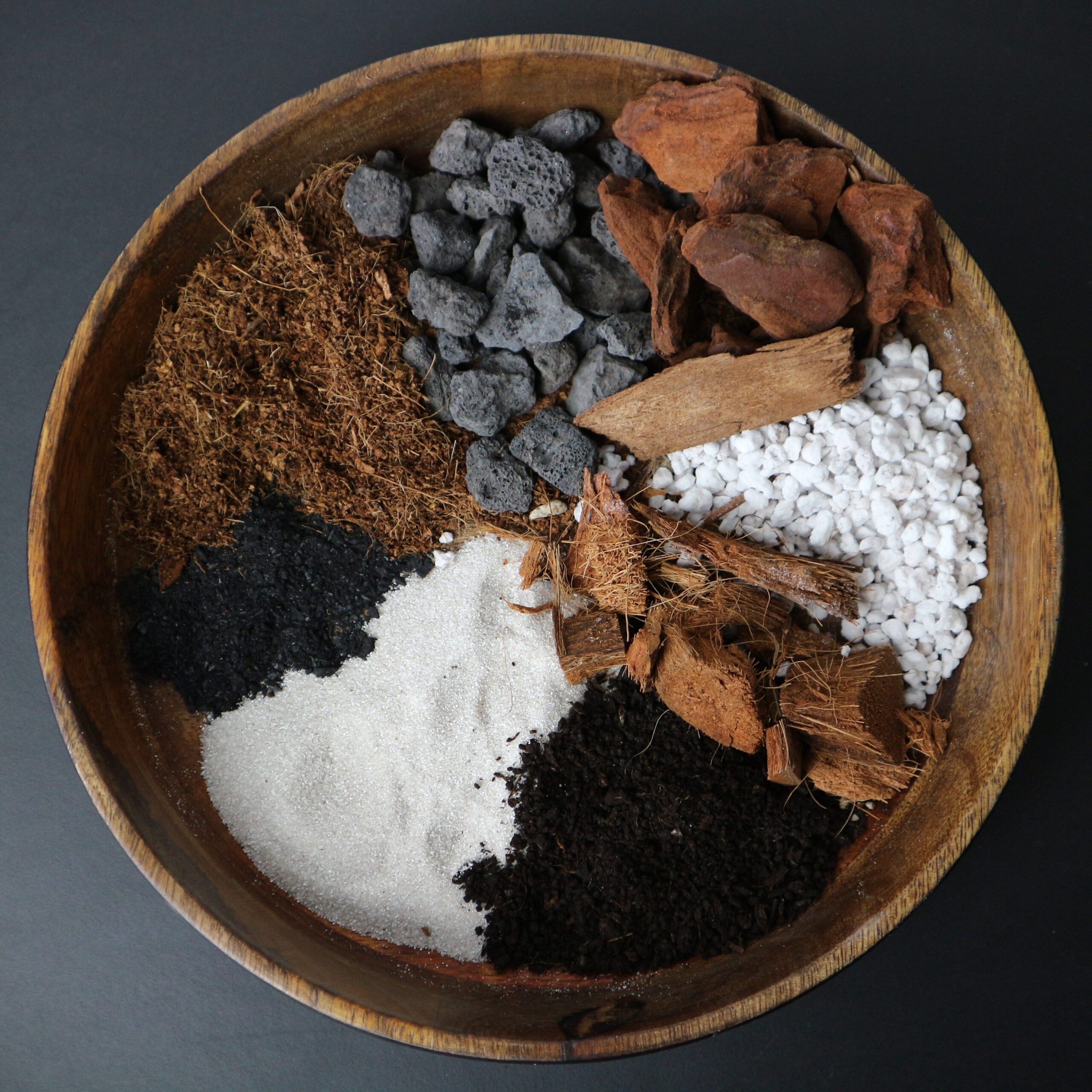 Ficus-Mix 5L – Bild 3