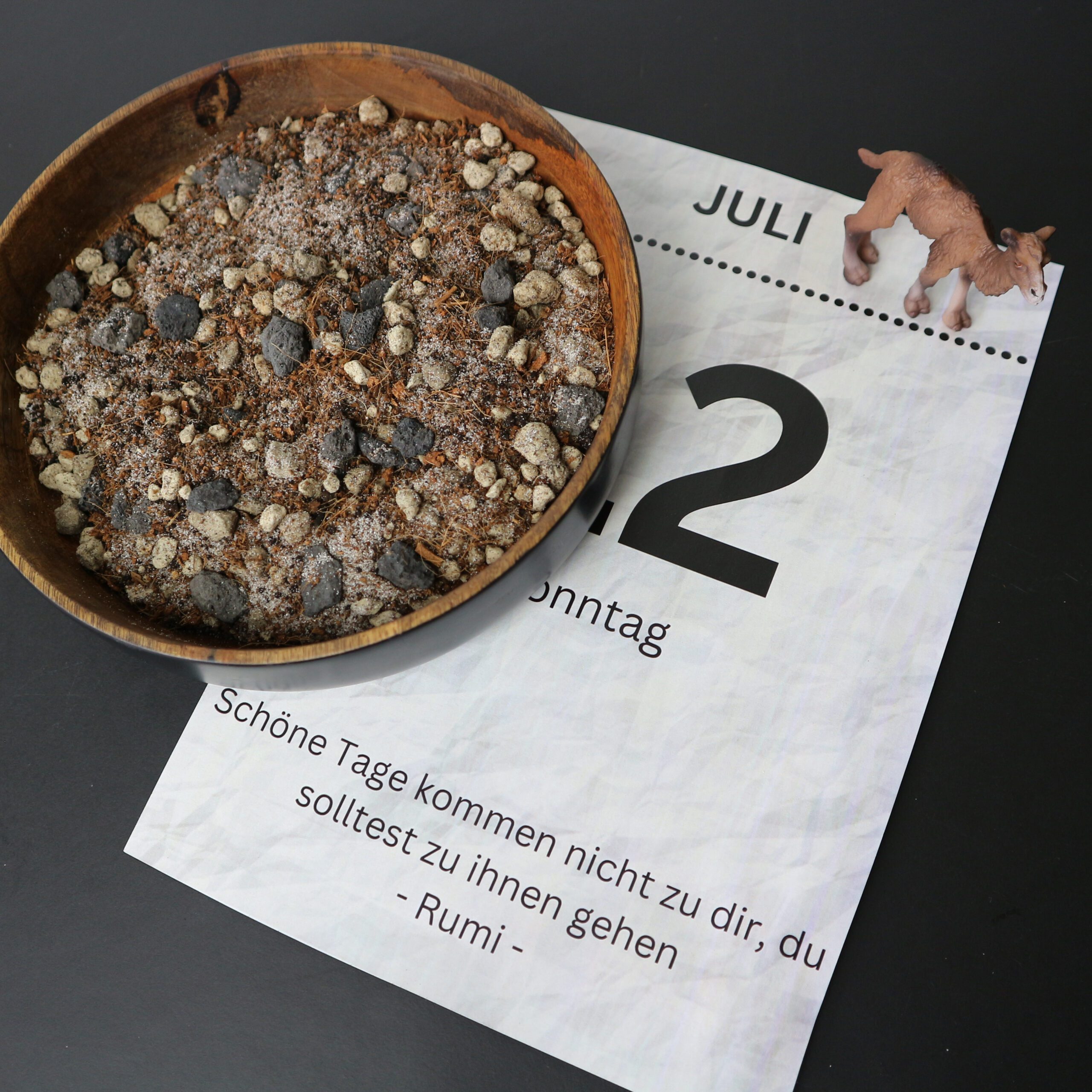 Unser Kakteen-Substrat