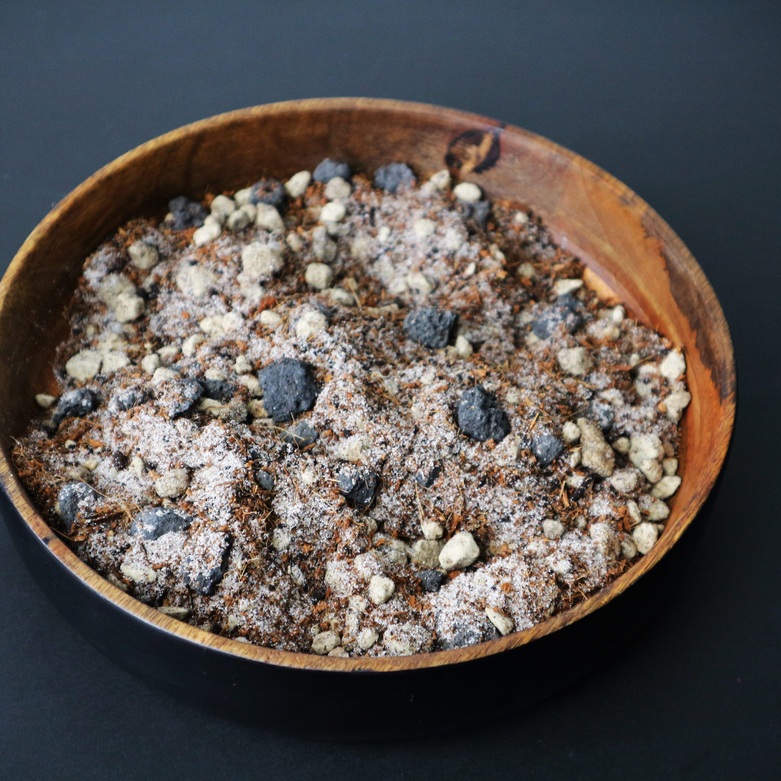 Kakteen-Mix 5L – Bild 3