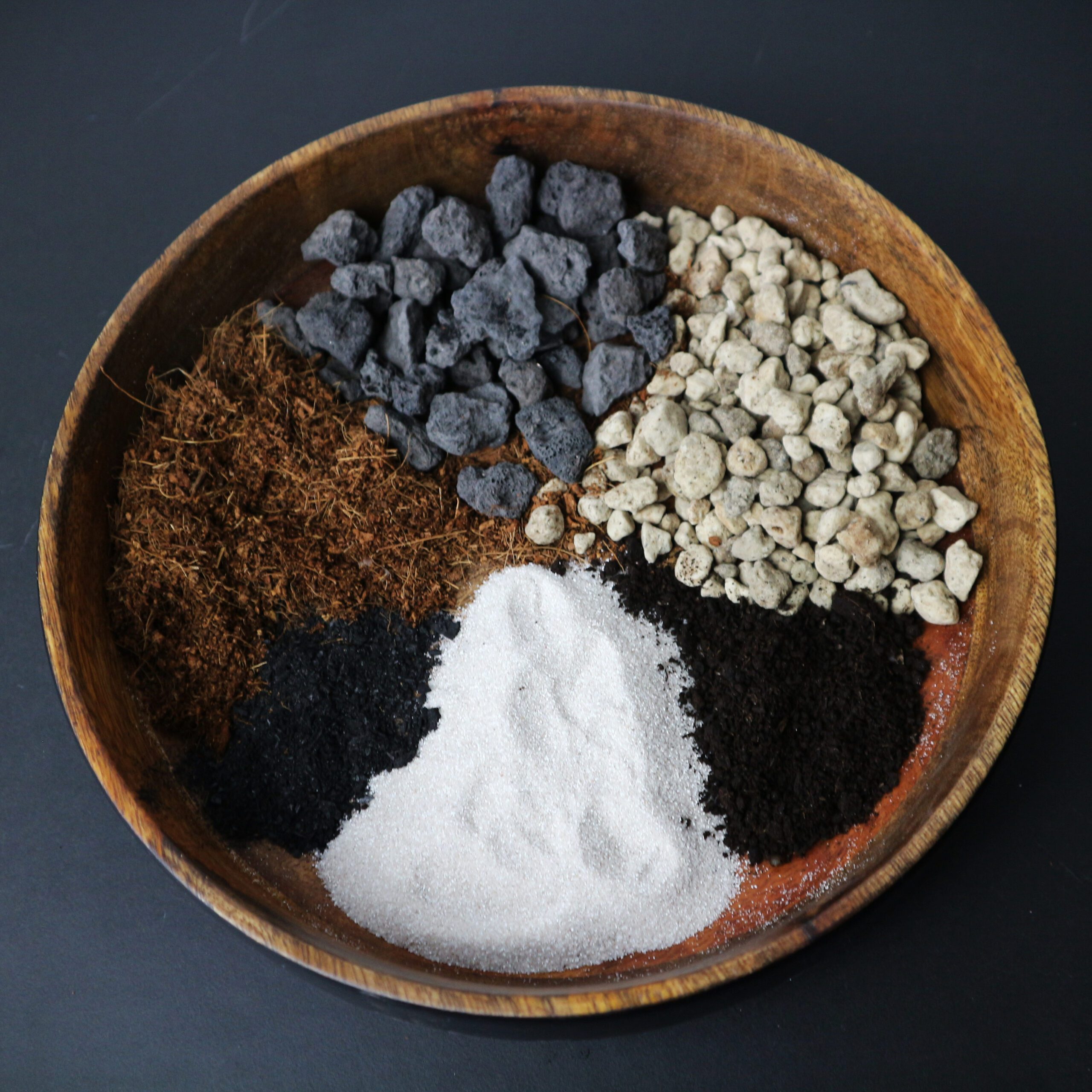 Kakteen-Mix 5L – Bild 4