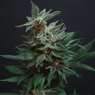 Grow-Mix 5L